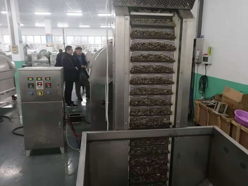 東北客戶來廠試炒兩米生產(chǎn)線，客戶對試機效果非常滿意
